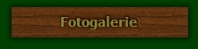 Fotogalerie